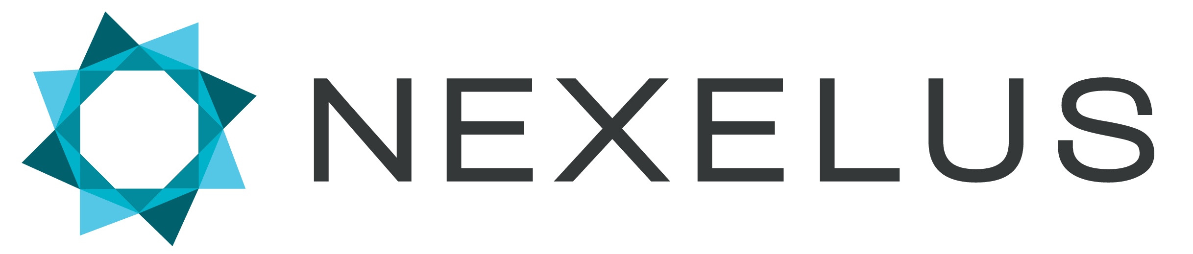 Nexelus Logo